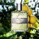 Parfum Dior Eau Sauvage Pareri si Impresii