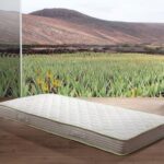 Saltea Dormeo Aloe Vera V2 Informatii Utile