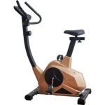 Bicicleta magnetica FitTronic 601B Gold Pareri si Sfaturi Utile