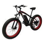 Bicicleta Electrica Fat Tony 13Ah Pareri si Informatii